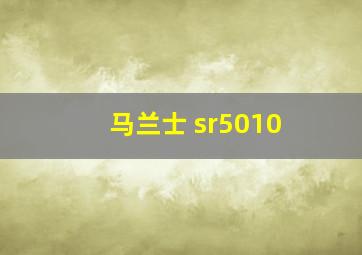 马兰士 sr5010